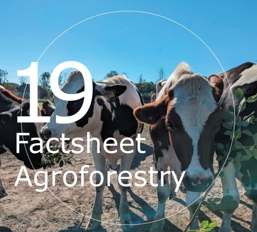 Factsheet Agroforestry 19