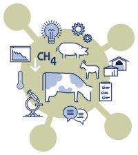 Methaanemissie uit melkvee- en geitenstallen: monitoring en demonstratie emissies en bedrijfseffecten